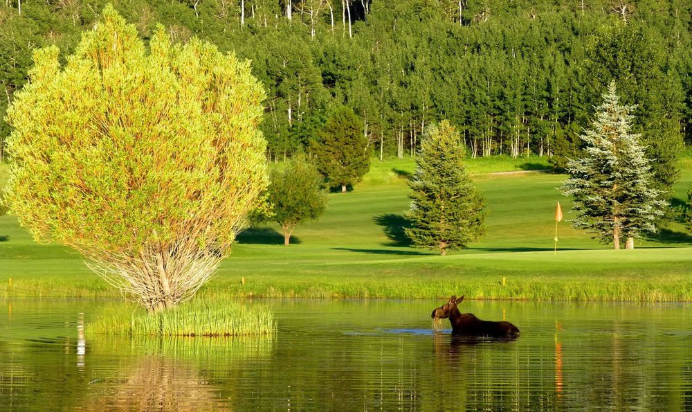 Eagle's Nest Ranch: 75 Perimeter Drive, Alta, WY 83414